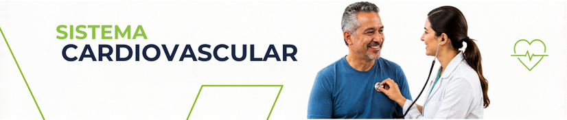 Sistema Cardiovascular en Vida Farmacias